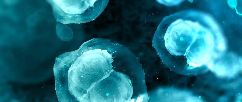 Microscopic view of breast cancer cells interacting with their surrounding extracellular matrix.