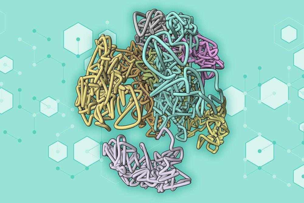 Artistic rendering of chromatin and nucleosome architecture