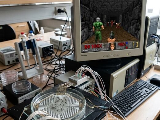 Petri dish of neurons wired to a computer running Doom on a CRT monitor