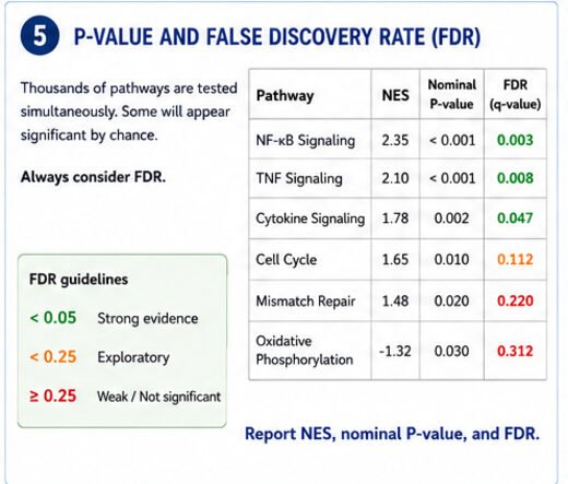 GSEA p-value and false discovery rate table with FDR interpretation guidelines