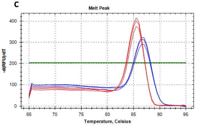 Two melt peak groups at different temperatures for red and blue sample sets