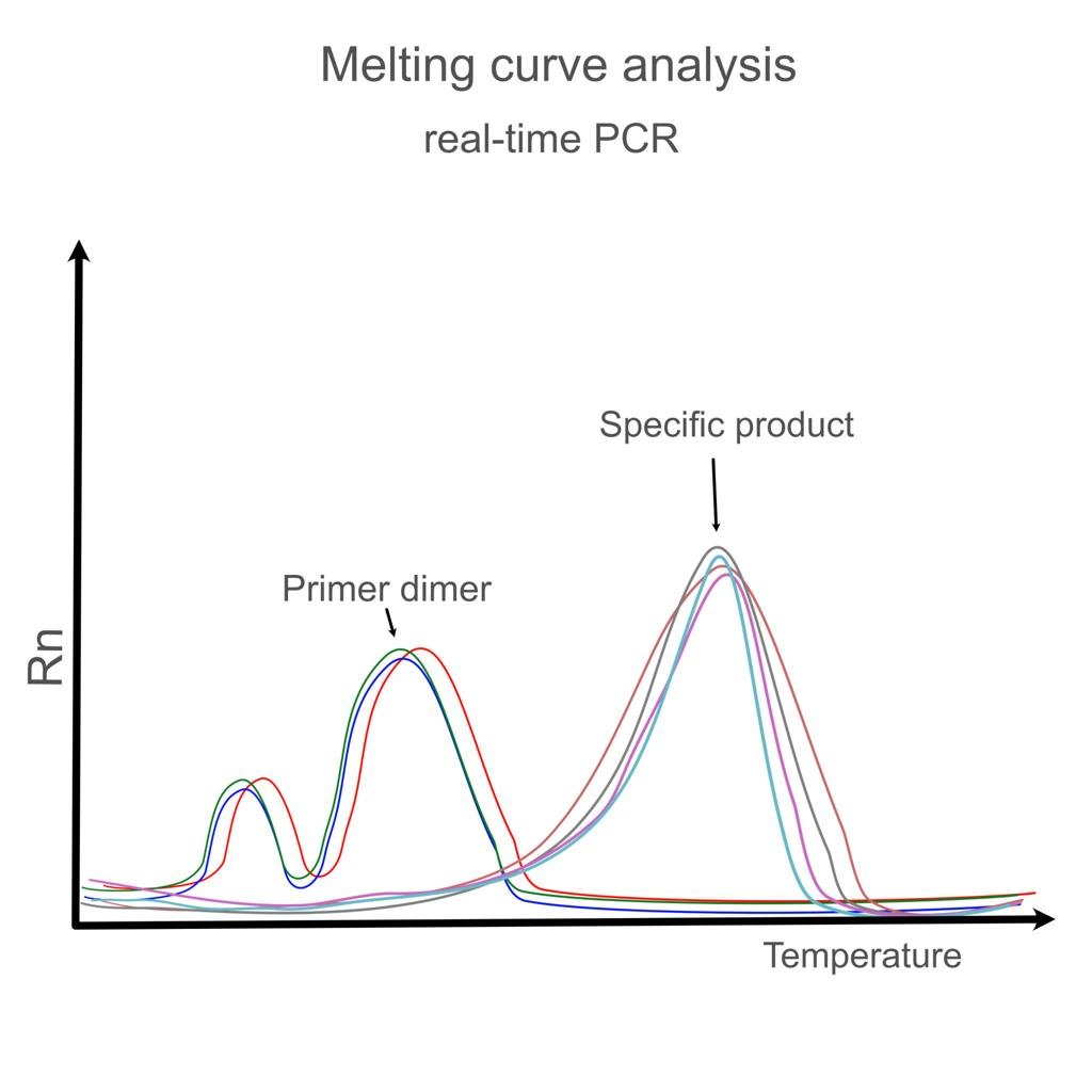 Melting curve analysis plot labeling specific product peak and primer dimer peak