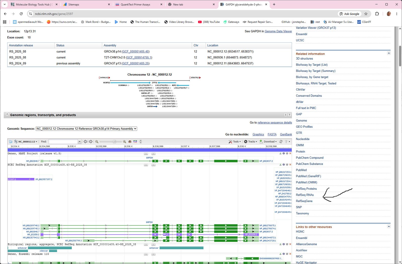 GAPDH gene page on NCBI with RefSeq RNAs highlighted in the right-hand menu