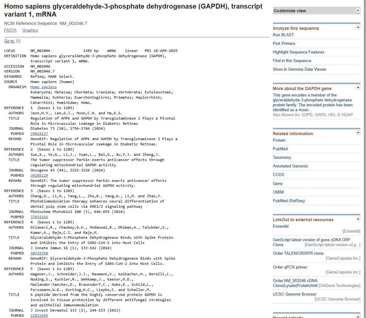NCBI RefSeq mRNA record for human GAPDH transcript variant 1 showing accession NM_002046