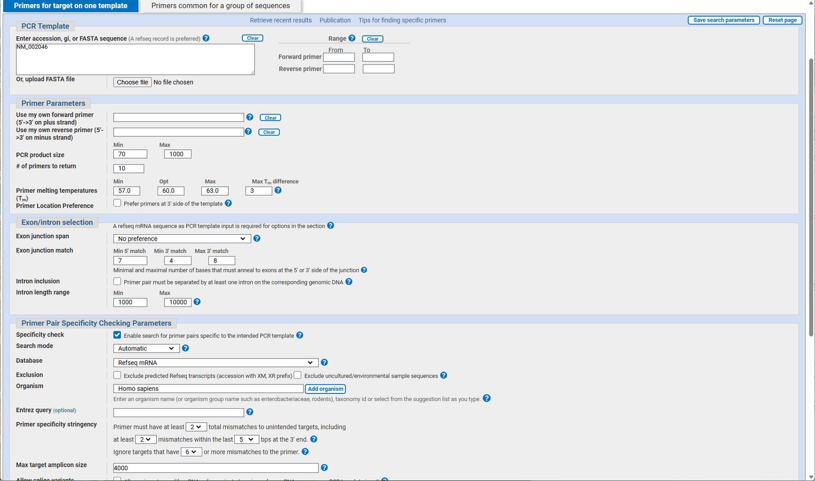 NCBI Primer-BLAST input page with accession number and parameter fields