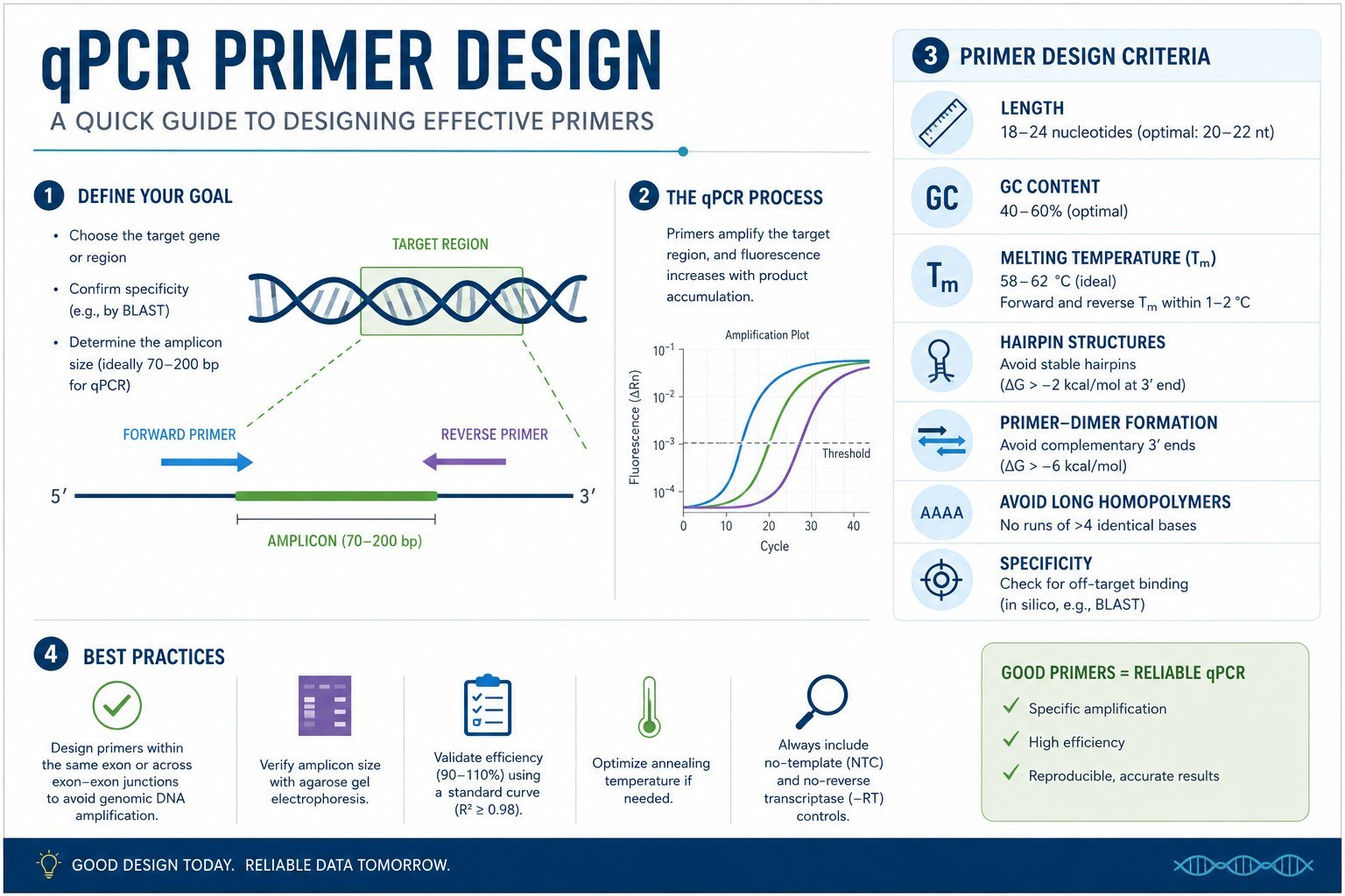 Infographic on qPCR primer design goals, melting temperature, specificity, and best practices