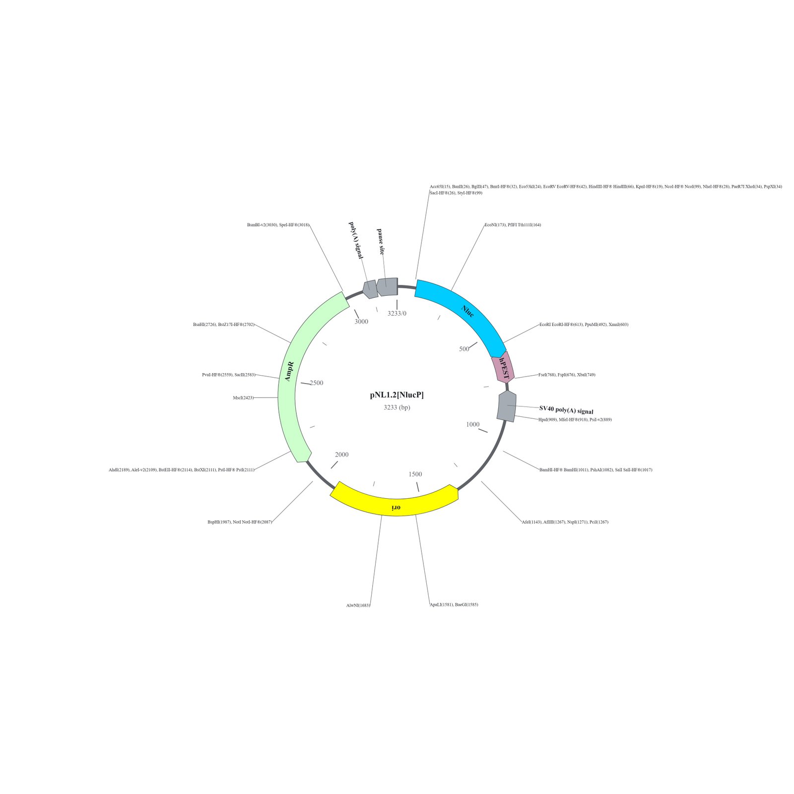 Circular map of pNL1.2[NlucP] promoterless NanoLuc reporter plasmid, 3233 bp