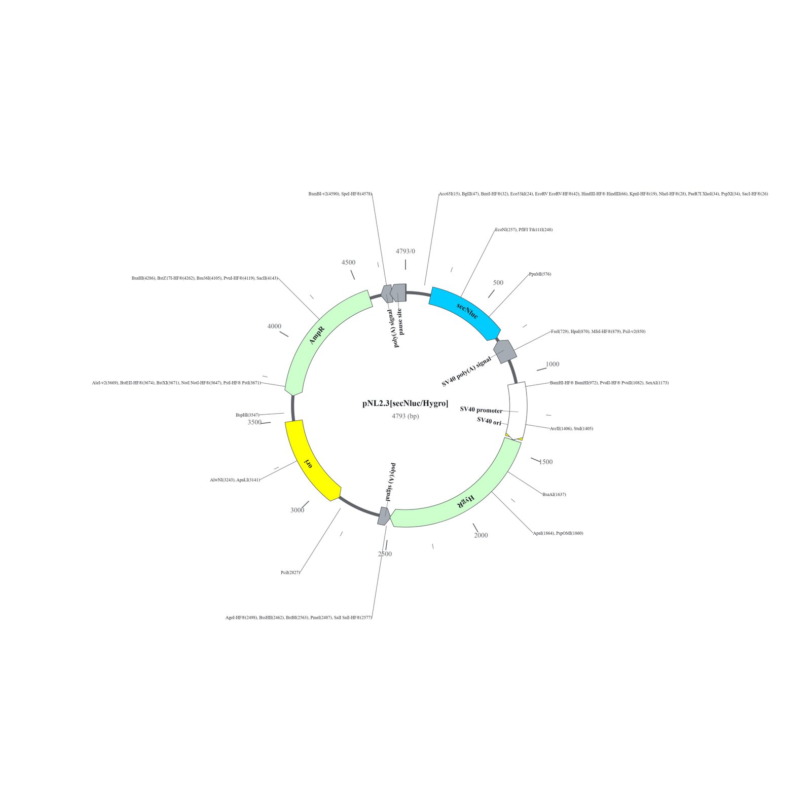 Circular map of pNL2.3[secNluc/Hygro] secreted NanoLuc reporter plasmid, 4793 bp