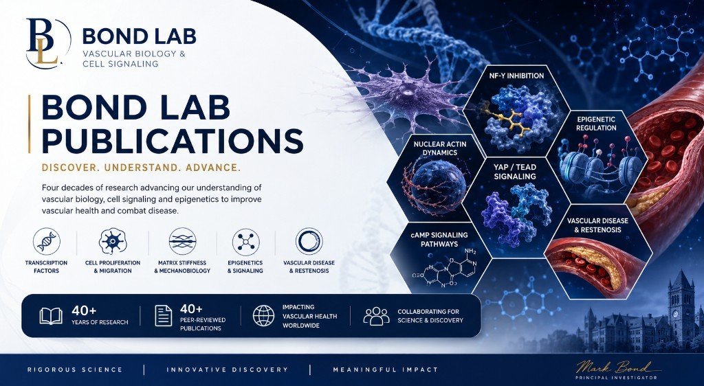 Bond Lab Publications summary banner